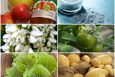Varikoz tomirlarini davolash uchun xalq davolanadi
